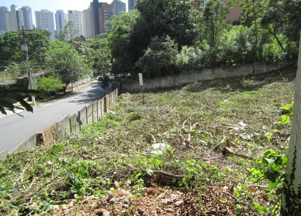 Terreno, 4931 m² - Foto 5