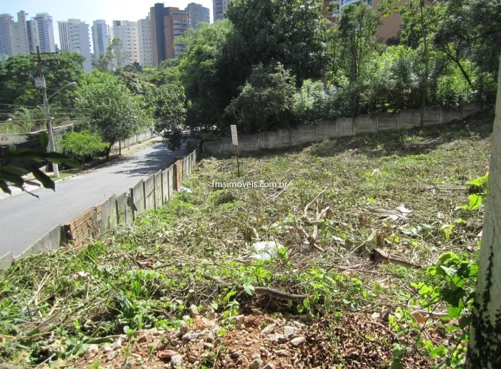 Terreno, 4931 m² - Foto 8