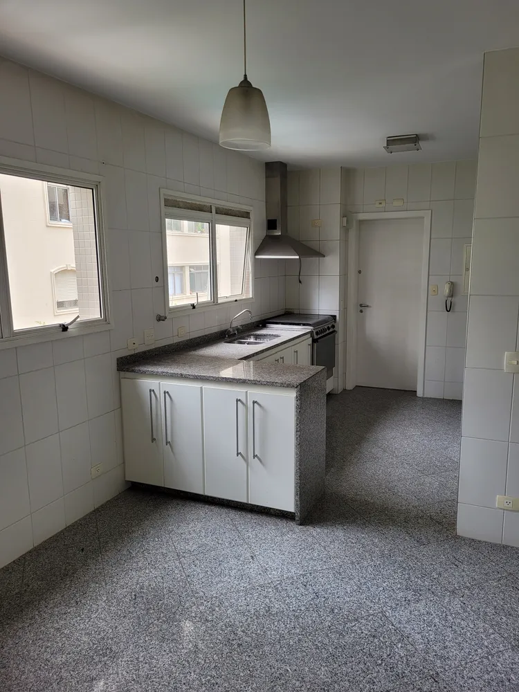 Apartamento, 3 quartos, 265 m² - Foto 28
