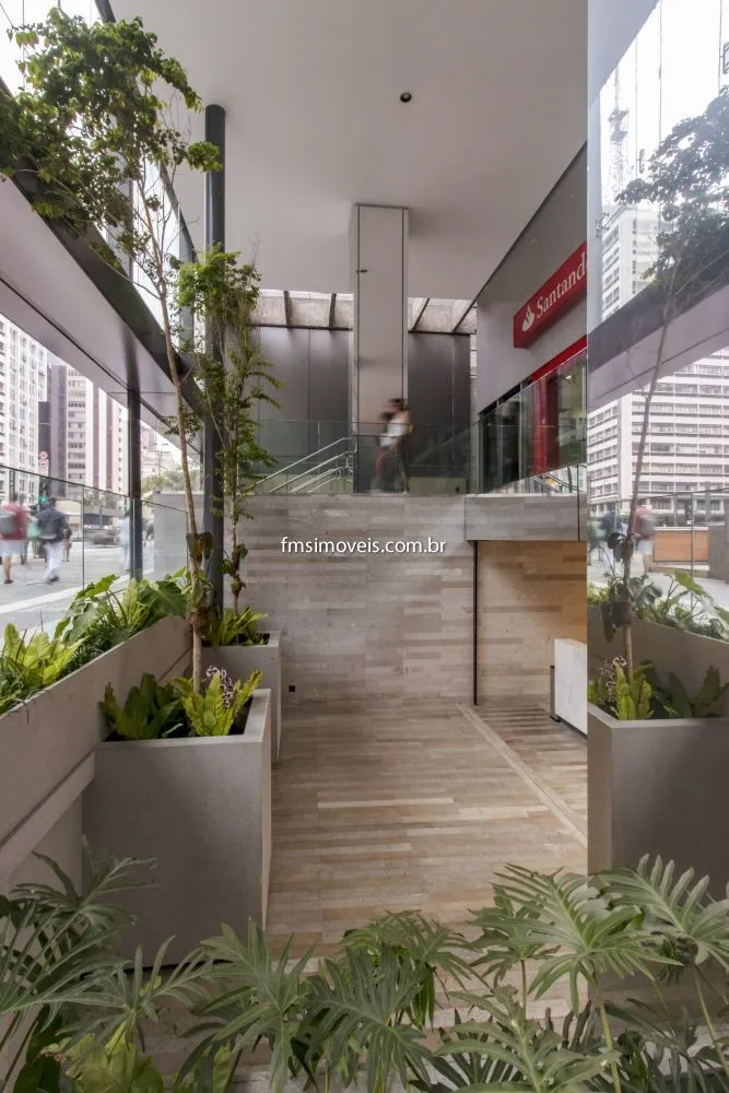 Sala-Conjunto, 330 m² - Foto 4