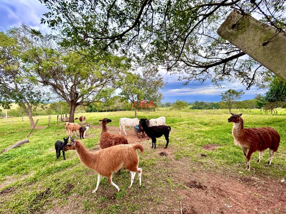 Chácara, 3 quartos, 6 hectares - Foto 1