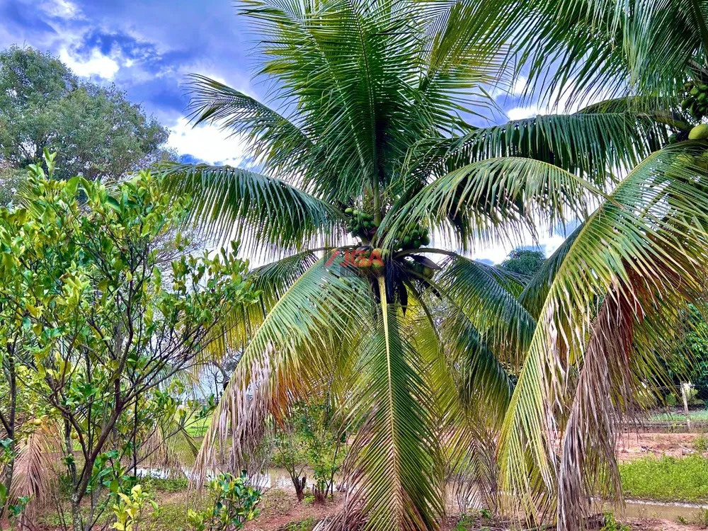 Chácara, 3 quartos, 6 hectares - Foto 7