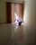Apartamento, 2 quartos, 58 m² - Foto 4