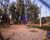 Apartamento, 3 quartos, 56 m² - Foto 8