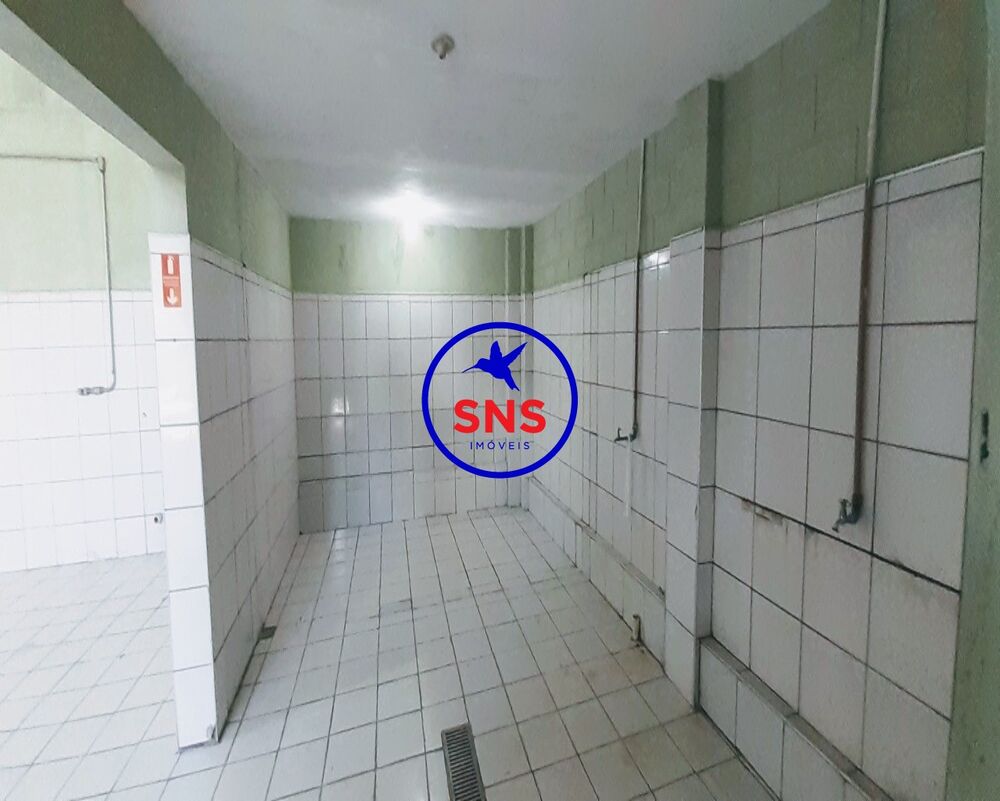 Depósito-Galpão, 350 m² - Foto 3