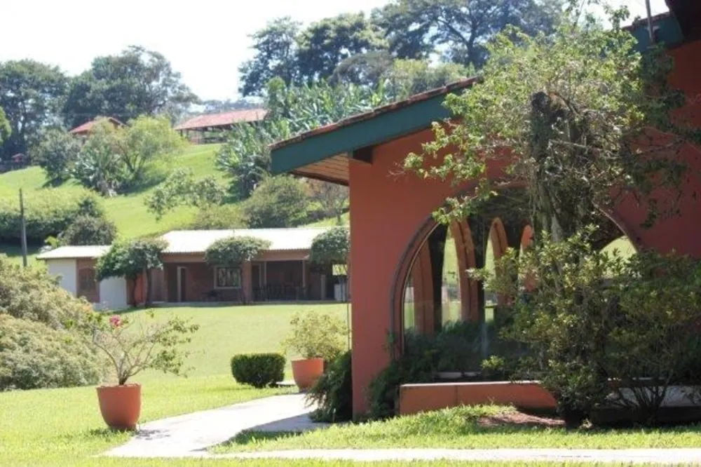 Fazenda, 44 hectares - Foto 9