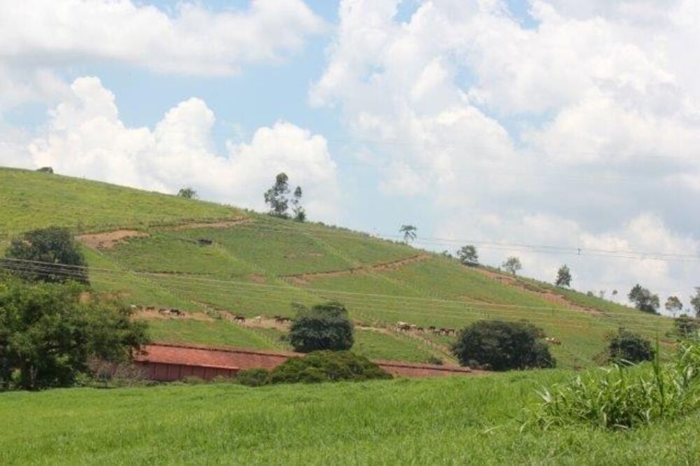 Haras e Área Rural Padrão à venda com 10 quartos, 440000m² - Foto 2