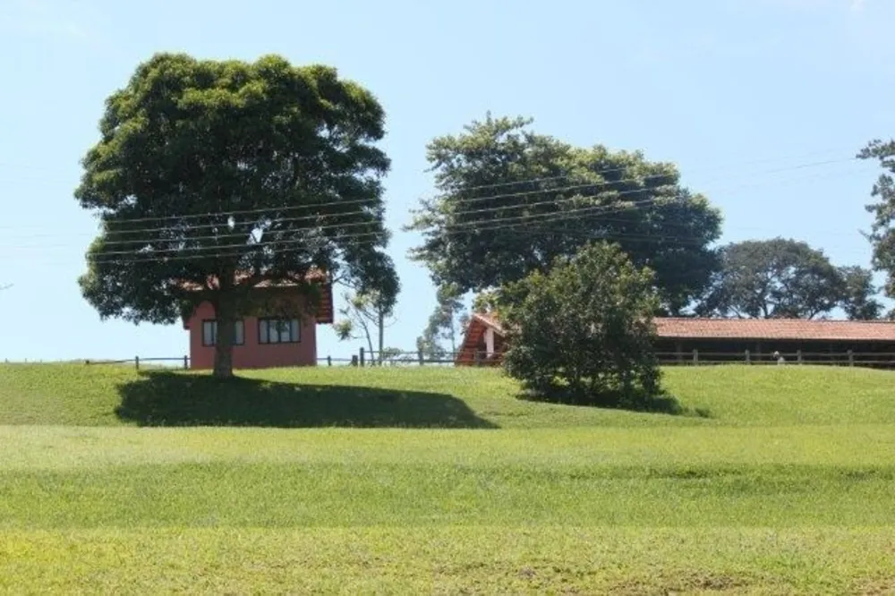 Fazenda, 44 hectares - Foto 11