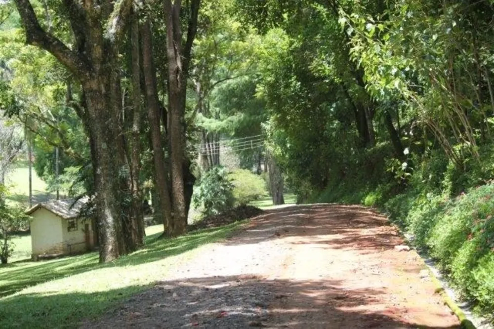 Fazenda, 44 hectares - Foto 6