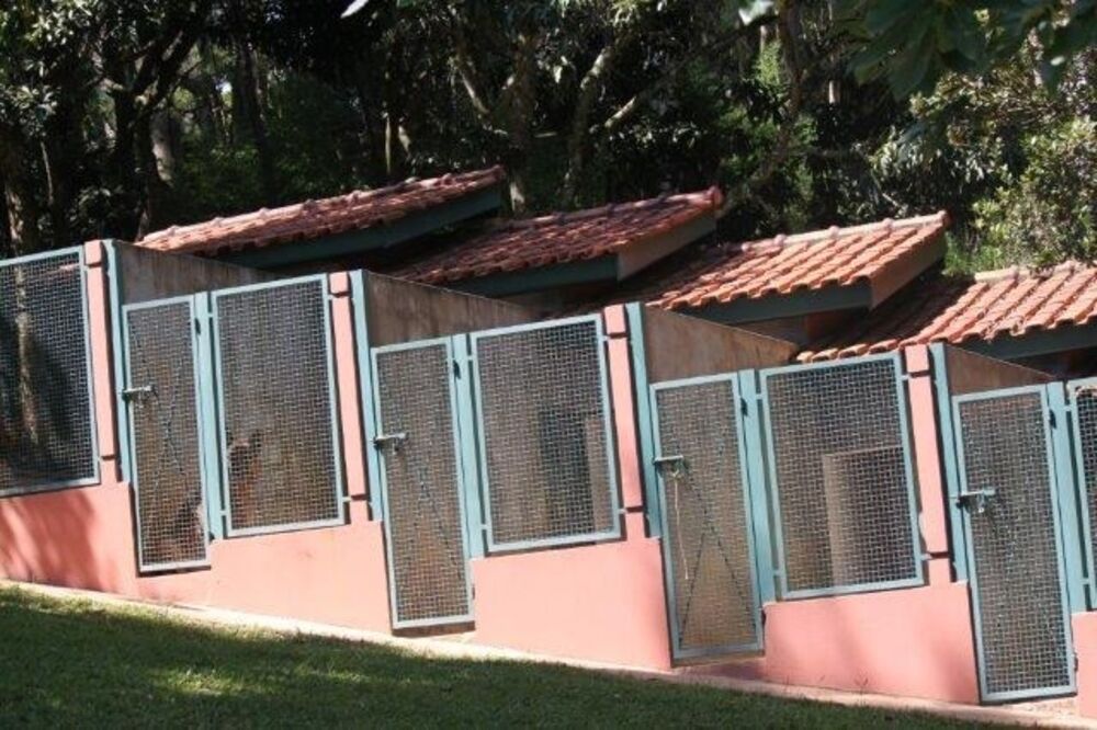 Haras e Área Rural Padrão à venda com 10 quartos, 440000m² - Foto 1