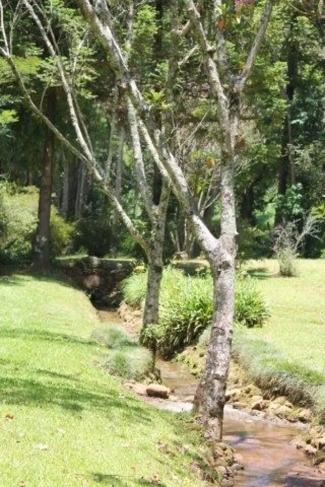 Fazenda, 44 hectares - Foto 16