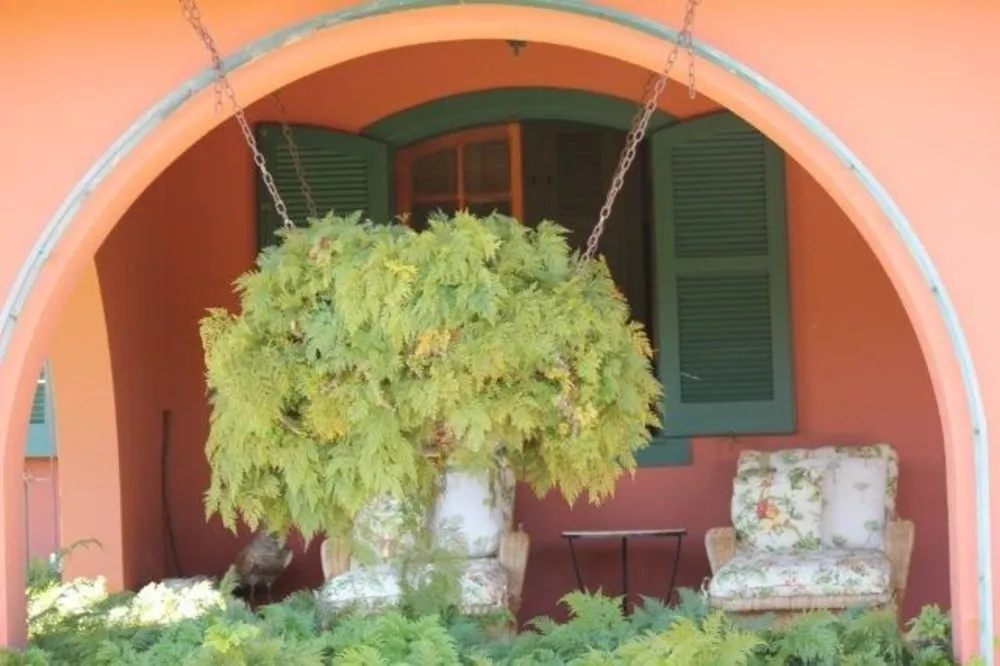 Fazenda, 44 hectares - Foto 13