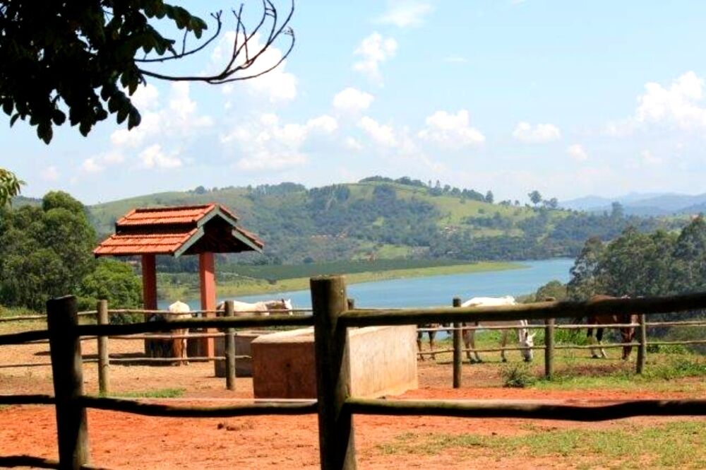 Haras e Área Rural Padrão à venda com 10 quartos, 440000m² - Foto 4