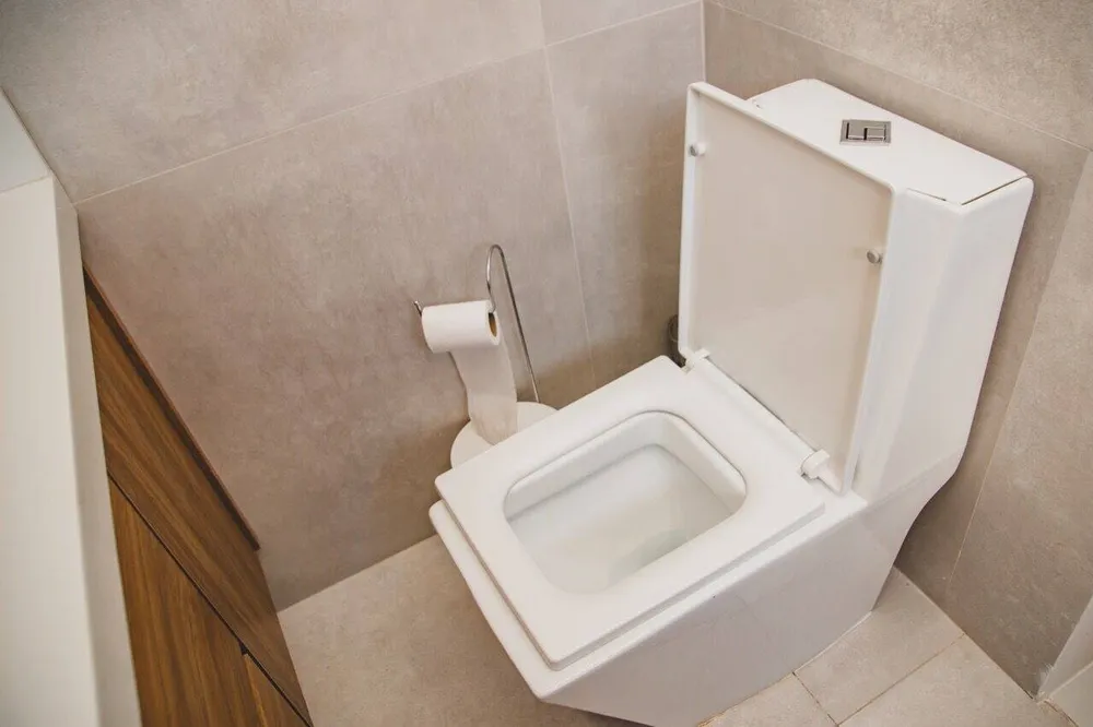 Casa, 3 quartos, 250 m² - Foto 15