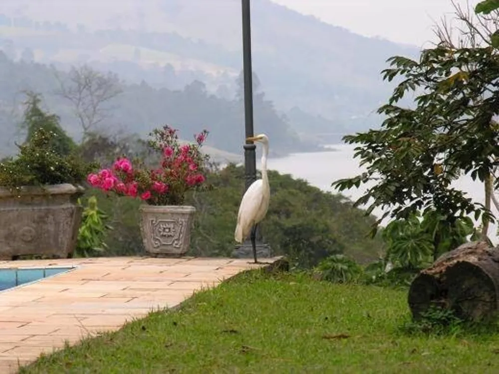 Pousada-Chalé, 10 quartos, 40935 m² - Foto 11