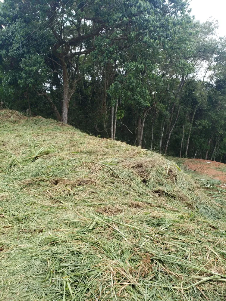 Terreno, 1000 m² - Foto 2