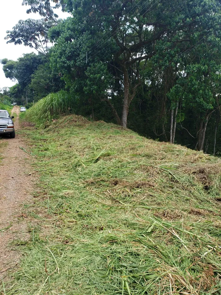 Terreno, 1000 m² - Foto 3