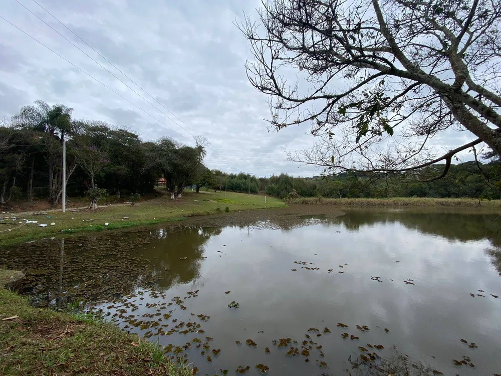 Chácara, 2 hectares - Foto 8