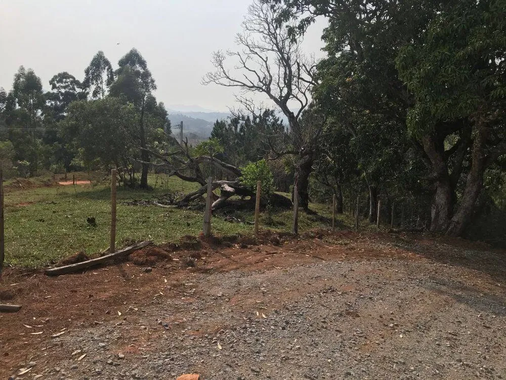 Terreno, 8000 m² - Foto 9