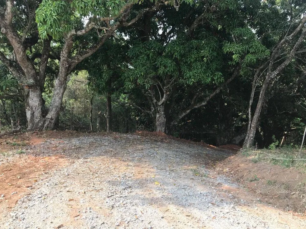 Terreno, 8000 m² - Foto 10