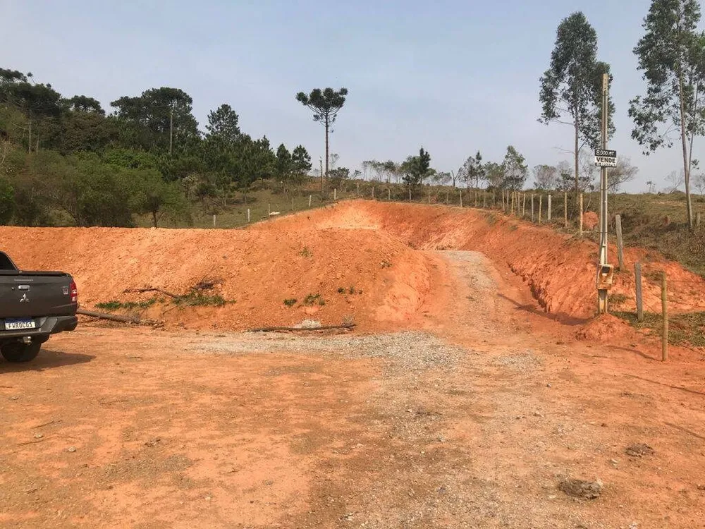 Terreno, 8000 m² - Foto 7