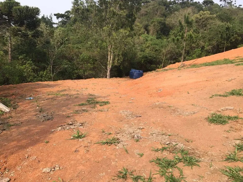 Terreno, 8000 m² - Foto 8