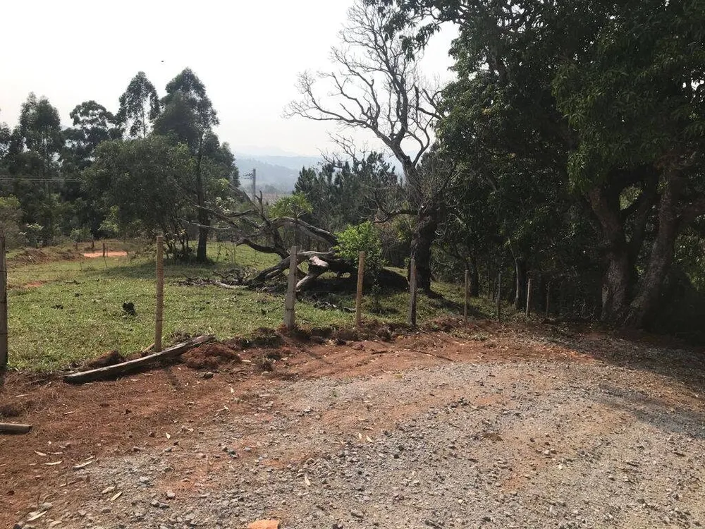 Terreno, 8000 m² - Foto 2