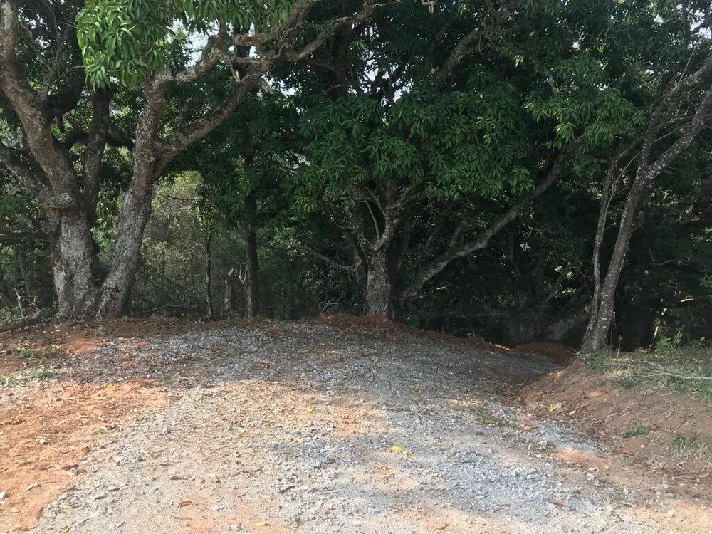 Terreno, 8000 m² - Foto 11