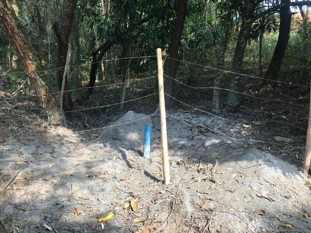 Terreno, 8000 m² - Foto 14