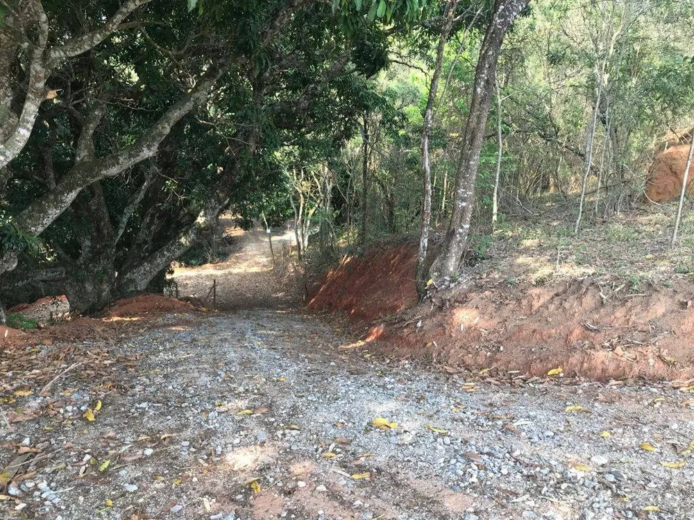 Terreno, 8000 m² - Foto 12