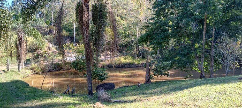 Chácara à venda com 3 quartos, 24000m² - Foto 12
