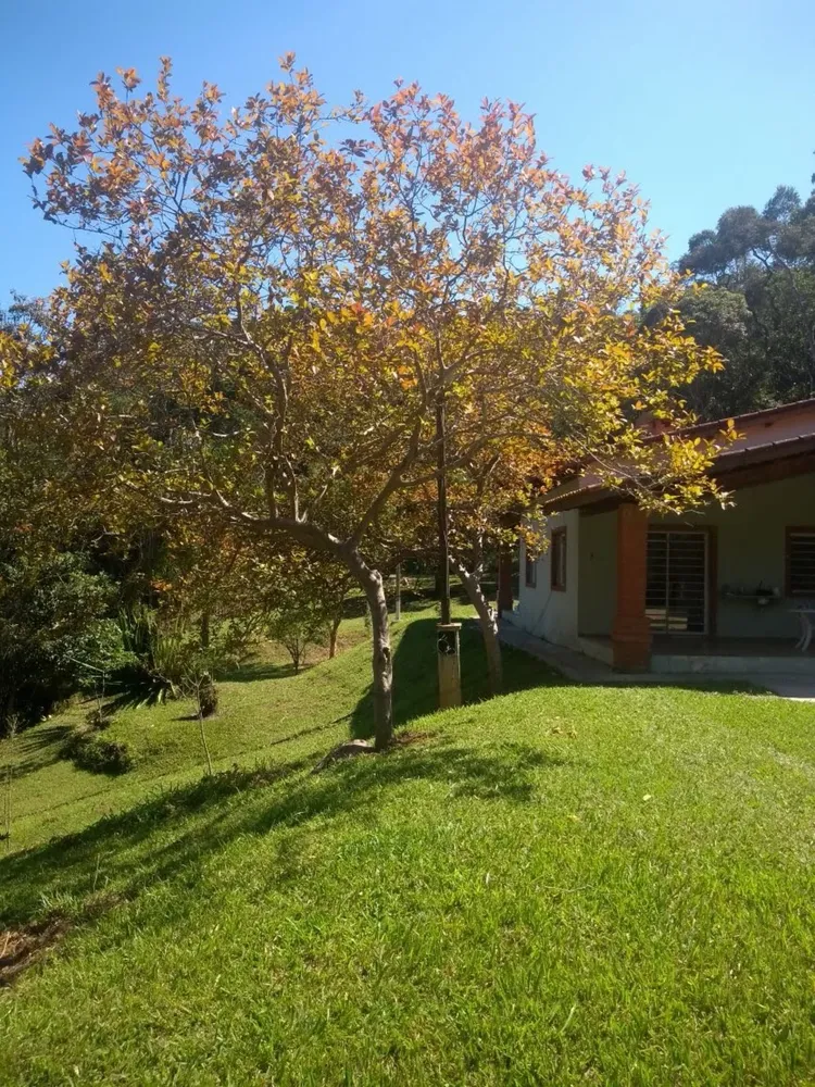 Chácara, 3 quartos, 2 hectares - Foto 18