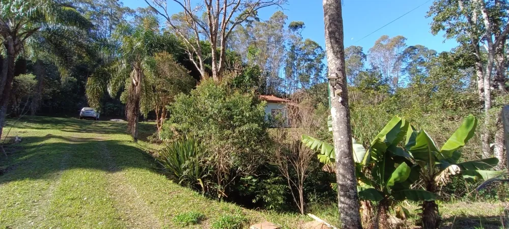 Chácara, 3 quartos, 2 hectares - Foto 6