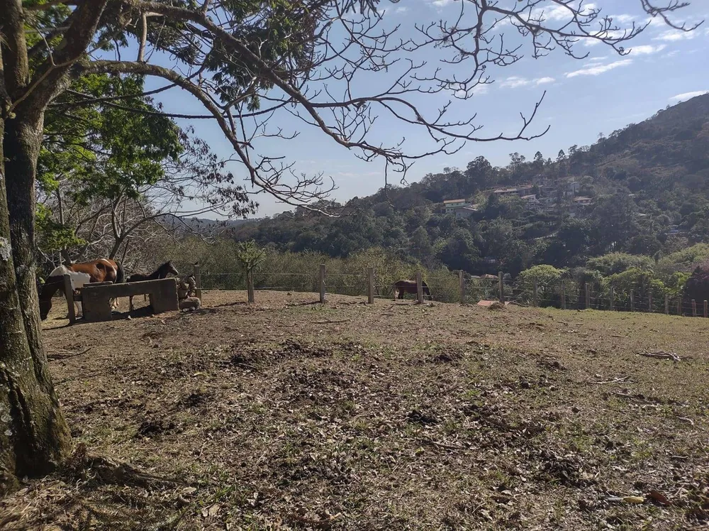 Sítio, 6 quartos, 24 hectares - Foto 11