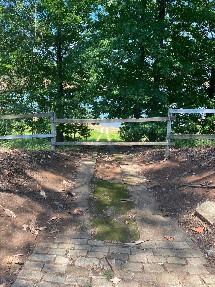 Sítio, 8 quartos, 3 hectares - Foto 15