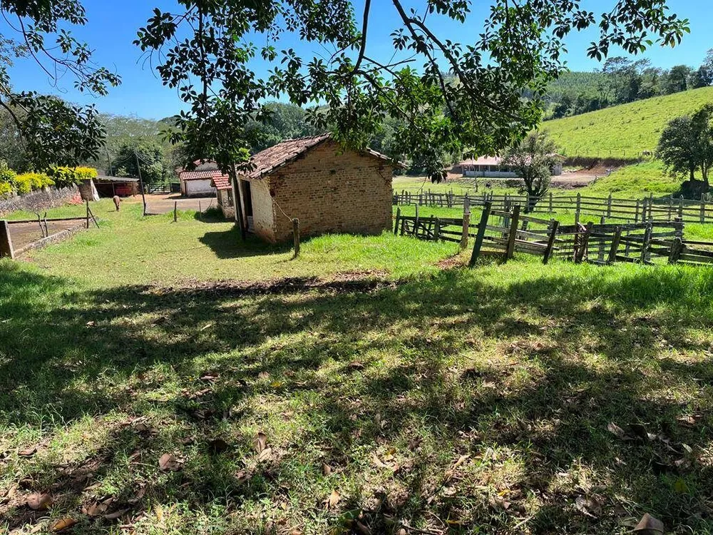 Sítio, 3 quartos, 6 hectares - Foto 4