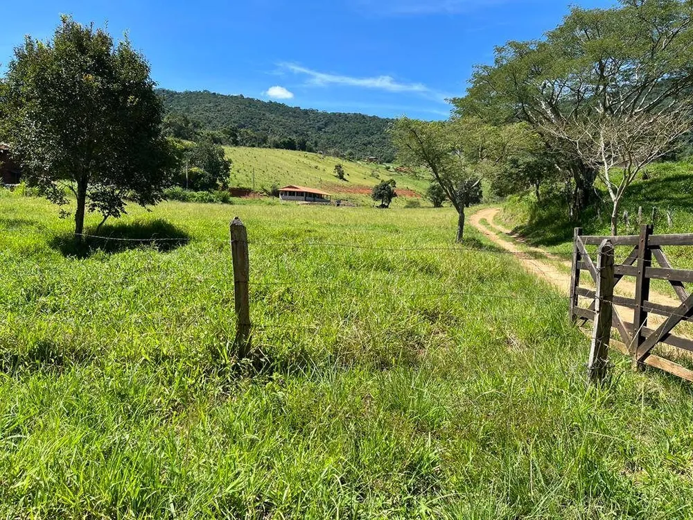 Sítio, 3 quartos, 6 hectares - Foto 12