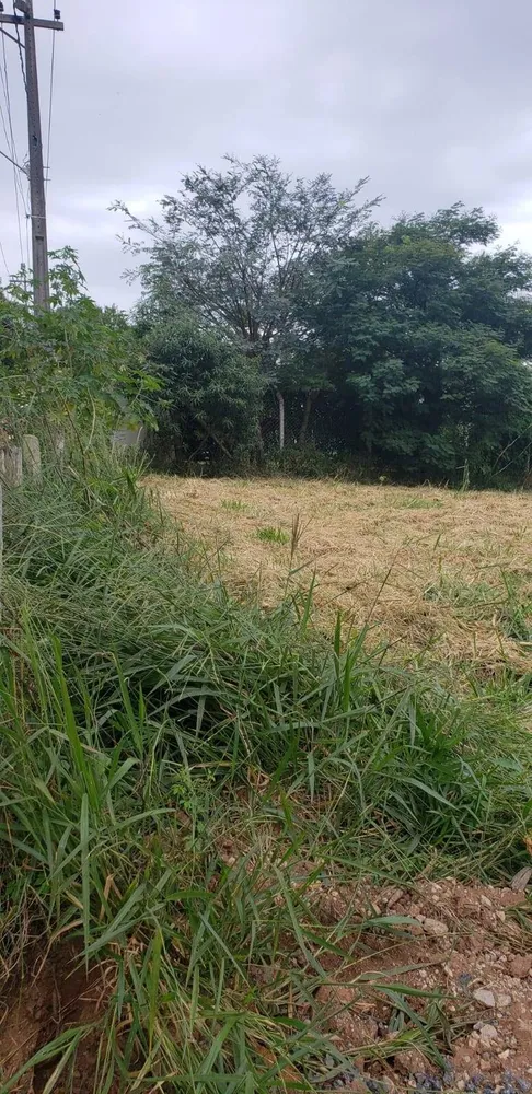 Terreno, 2000 m² - Foto 5