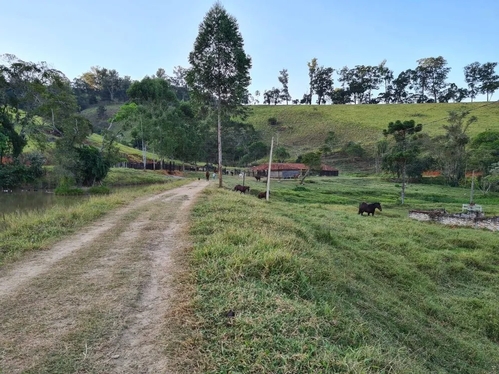 Sítio, 4 quartos, 605 hectares - Foto 13