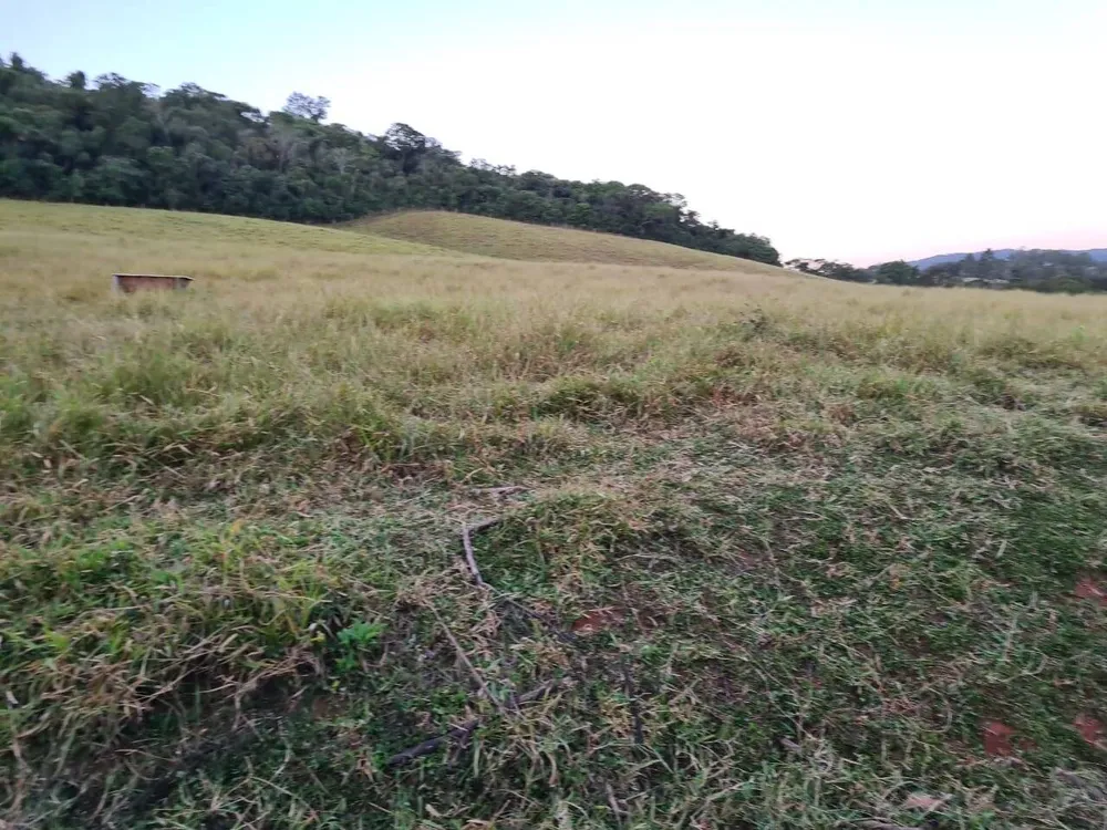 Sítio, 4 quartos, 605 hectares - Foto 4