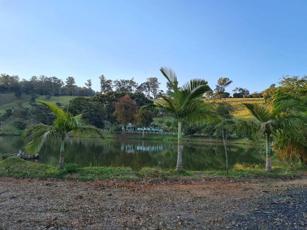 Sítio, 4 quartos, 605 hectares - Foto 16