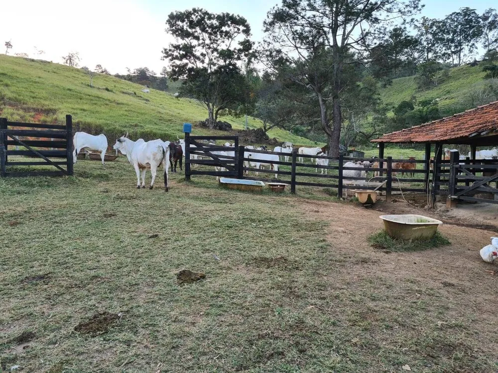Sítio, 4 quartos, 605 hectares - Foto 7