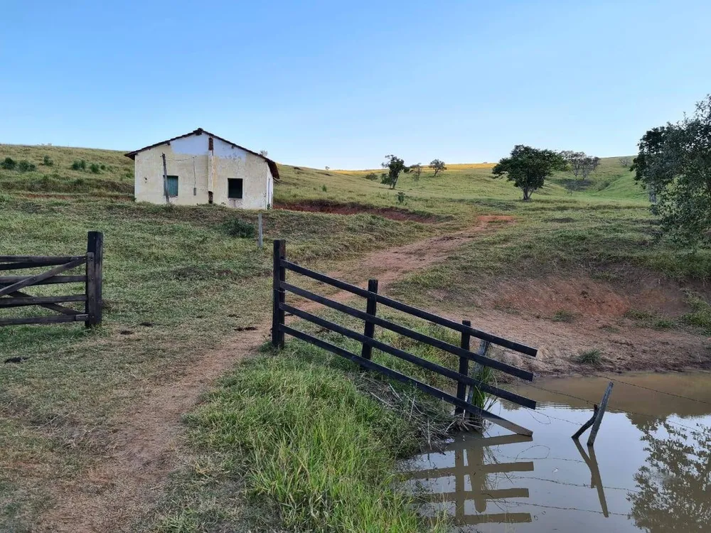 Sítio, 4 quartos, 605 hectares - Foto 12