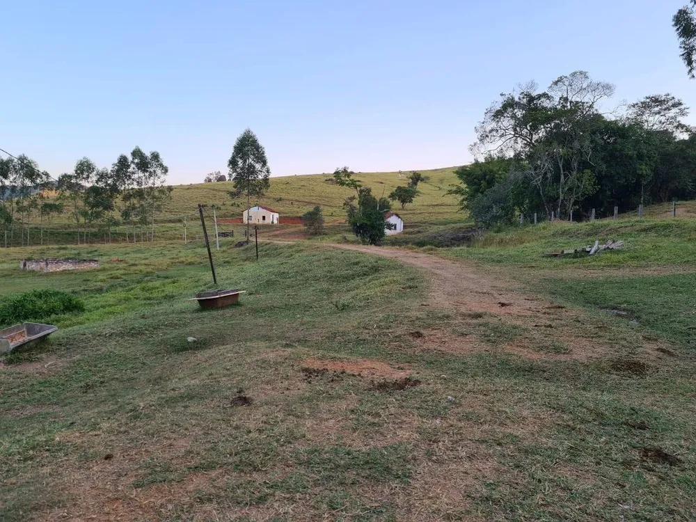Sítio, 4 quartos, 605 hectares - Foto 8