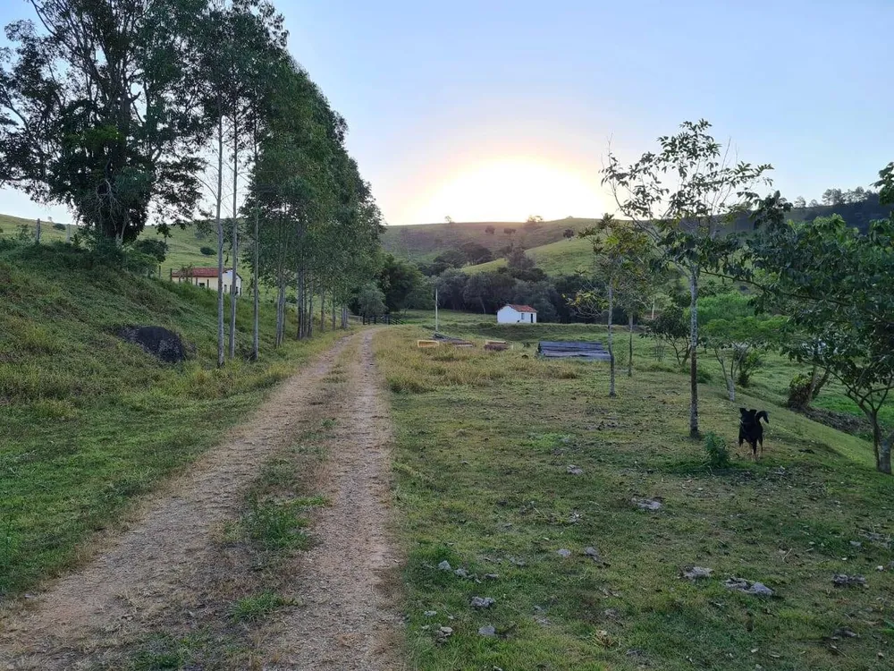Sítio, 4 quartos, 605 hectares - Foto 14