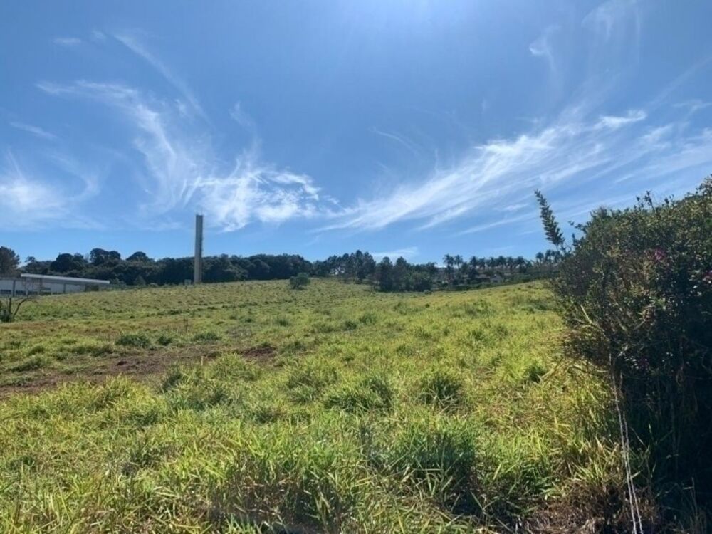 Depósito-Galpão - Foto 2