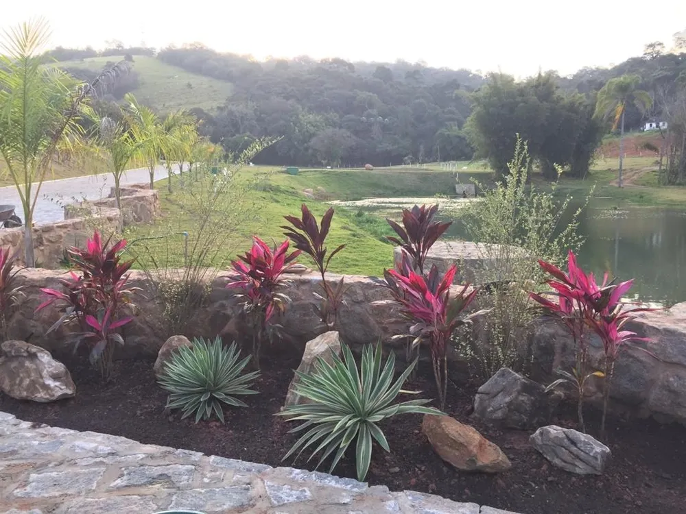 Terreno, 2 hectares - Foto 4