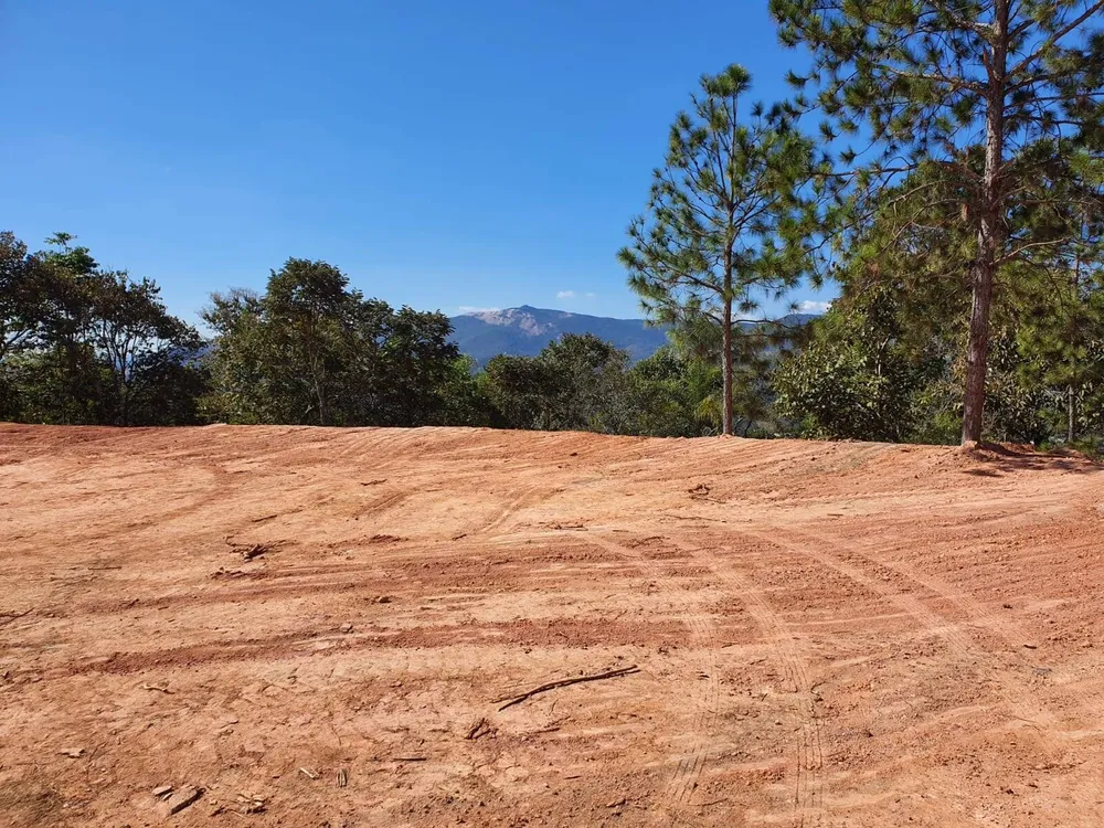 Terreno, 2 hectares - Foto 7