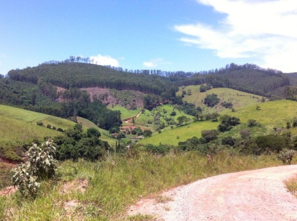 Fazenda, 116 hectares - Foto 4