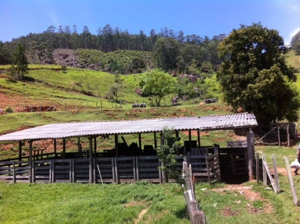 Fazenda, 116 hectares - Foto 4